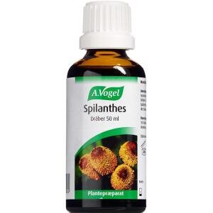 A. Vogel Spilanthes, 50 ml (Udløb: 11/2025)